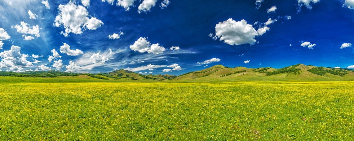 Bitcoin ETF Approval: A Catalyst for the Next Price Rally?