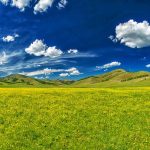 Bitcoin ETF Approval: A Catalyst for the Next Price Rally?