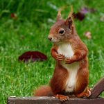 Major Token Unlocks of the Week: Implications for Market Dynamics
