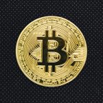 Evaluating the Current State of Crypto Markets: Trends, Insights, and Future Prospects