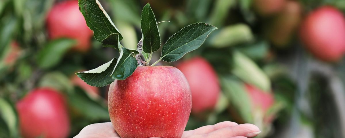 Apple Surges Ahead: Retakes Title of World’s Largest Company by Market Cap