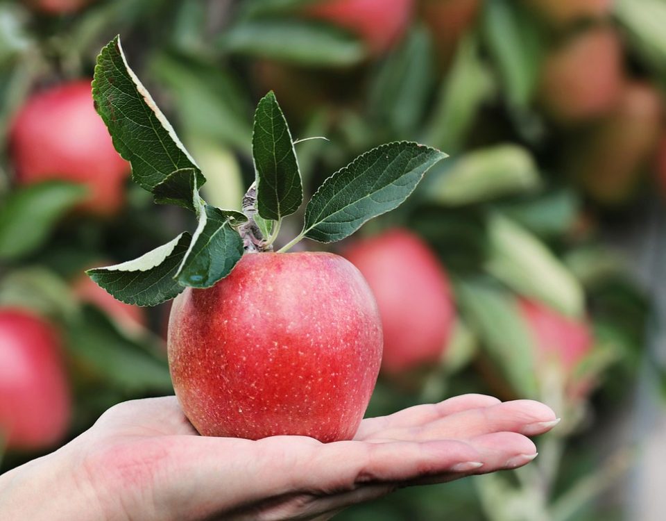 Apple Surges Ahead: Retakes Title of World’s Largest Company by Market Cap