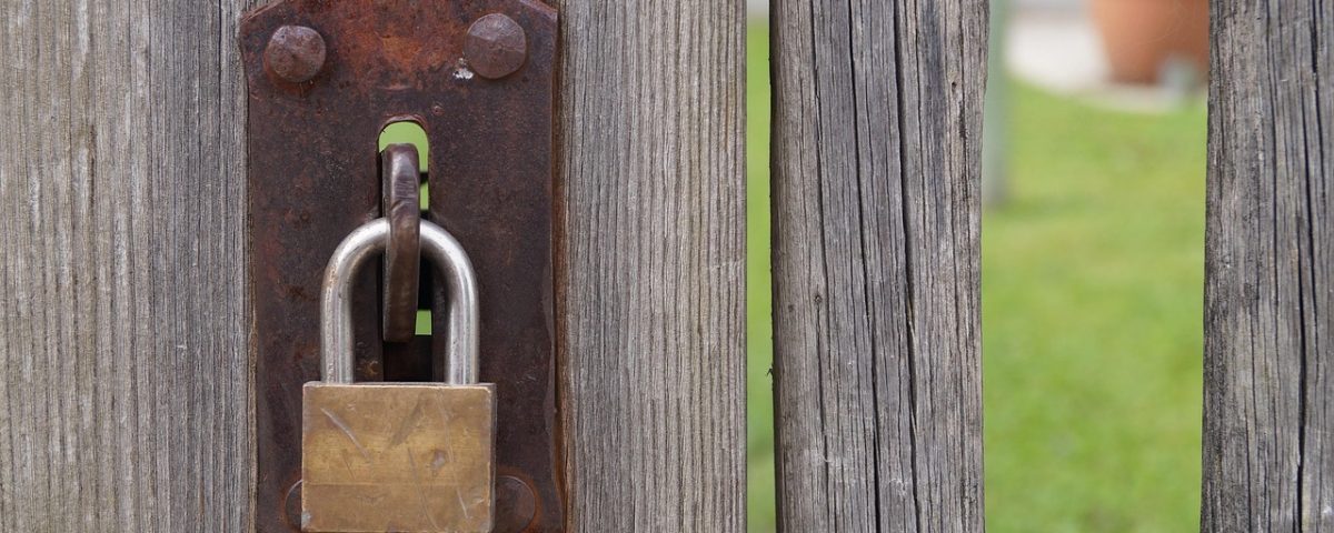 MegaETH Shuts Down Mega Mafia Accelerator: An In-Depth Analysis
