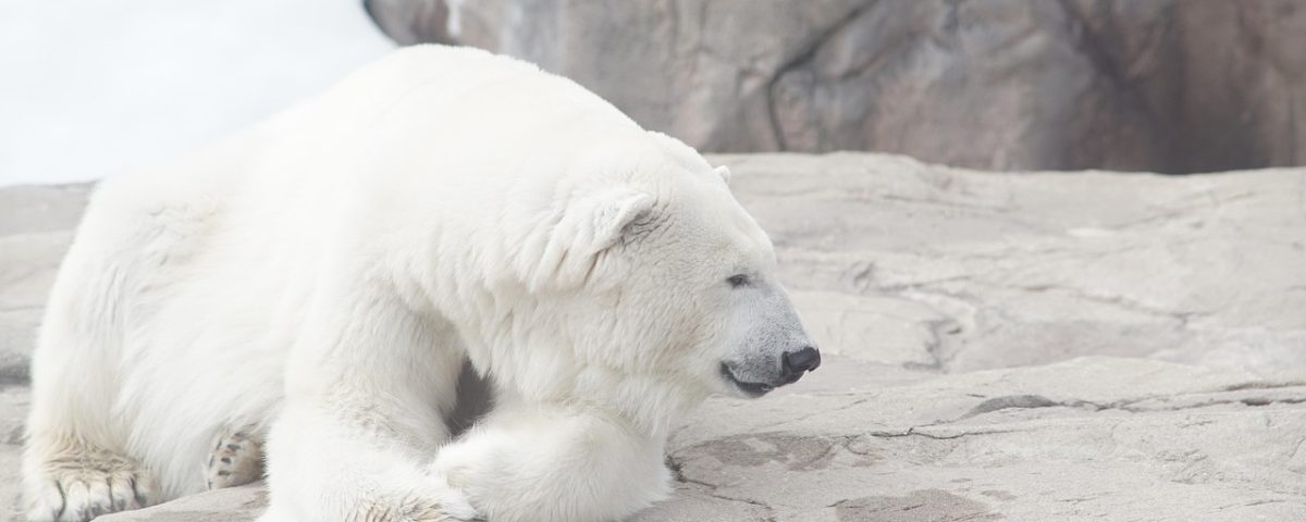 Bitcoin Bear Market Nearing Its End? CryptoQuant Spots Rare On-Chain Signal