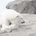 Bitcoin Bear Market Nearing Its End? CryptoQuant Spots Rare On-Chain Signal