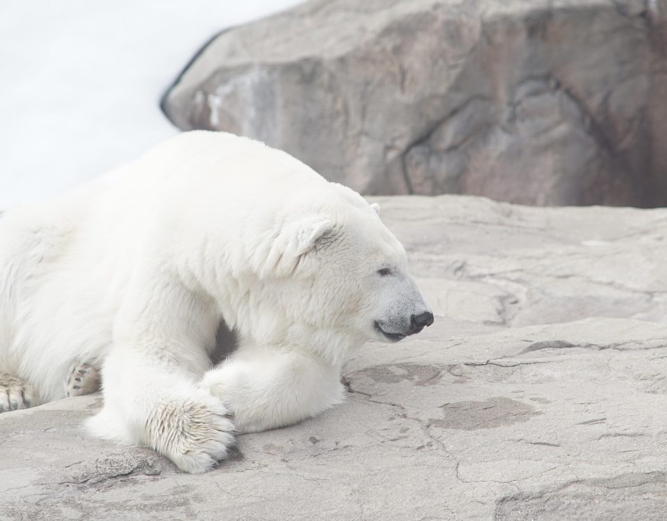 Bitcoin Bear Market Nearing Its End? CryptoQuant Spots Rare On-Chain Signal
