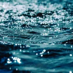 XRP and Institutional Expansion: Navigating the Volume Decline