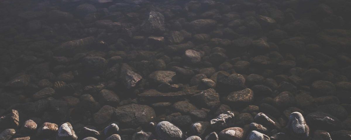 Recent Developments in Bitcoin Holdings and Ethereum Reserves: A Detailed Analysis