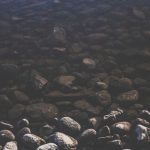 Recent Developments in Bitcoin Holdings and Ethereum Reserves: A Detailed Analysis