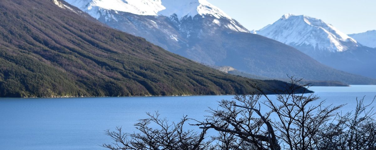 Argentina's LIBRA Investigation: A Deep Dive into Cryptocurrency Account Freezing and Its Market Implications