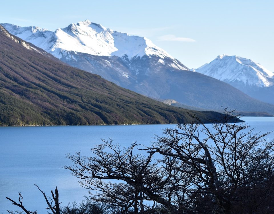 Argentina's LIBRA Investigation: A Deep Dive into Cryptocurrency Account Freezing and Its Market Implications