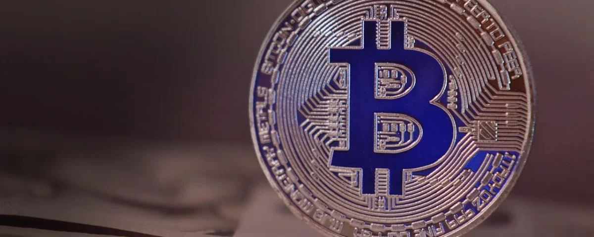 Increased Accumulation of Bitcoin by Large Wallets: Analyzing the Recent Surge
