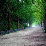 Meta's Potential $10 Billion Deal with Anthropic: Implications for the Tech and Crypto Sectors