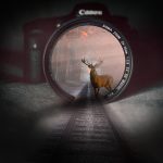 FTX's $900 Million Creditor Repayment: Implications for the Crypto Market