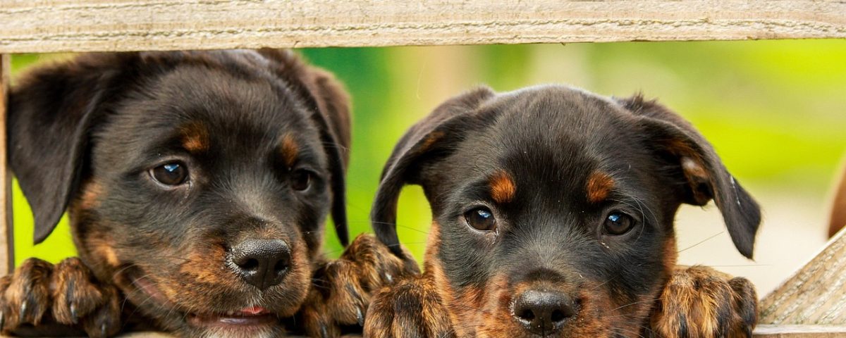 Bitcoin Miner IREN Surges 16% Following Ambitious AI Cloud Revenue Target
