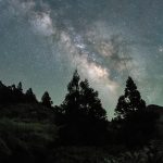 Nvidia's Strategic Collaborations in Japan: A Deep Dive into AI Development