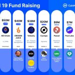 Top Crypto Fundraising Last Week: Insights and Implications for Investors