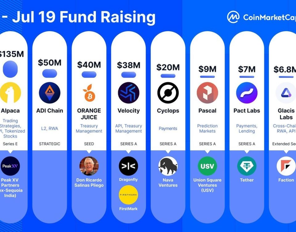 Top Crypto Fundraising Last Week: Insights and Implications for Investors