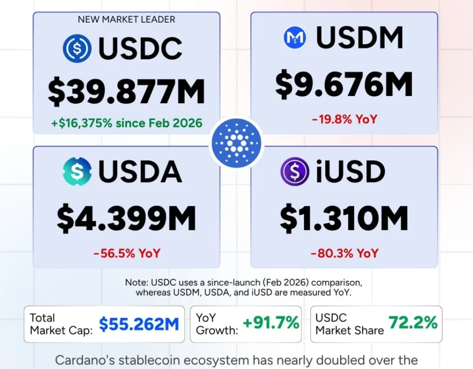 Cardano's Stablecoin Surge: What It Means for You
