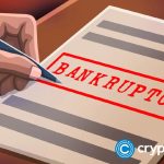 Bankruptcy of Dutch Crypto Exchange Knaken: A Deep Dive into Missing €7 Million