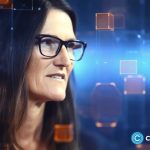 Cathie Wood Acquires SpaceX Shares Amidst Market Turbulence: An In-Depth Analysis