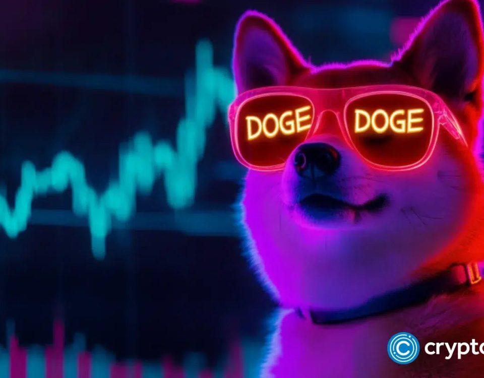 Dogecoin Price Nears Key Liquidation Zone After Major Whale Activity