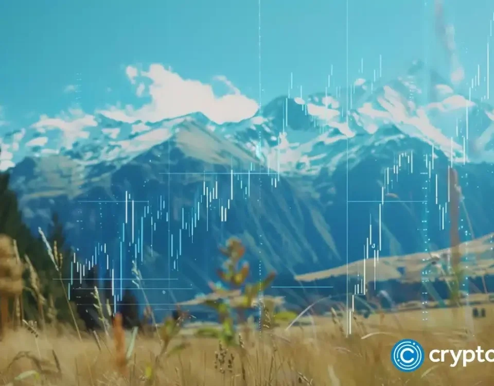 Bitget Expands Into New Zealand: Tokenized Stocks on the Horizon