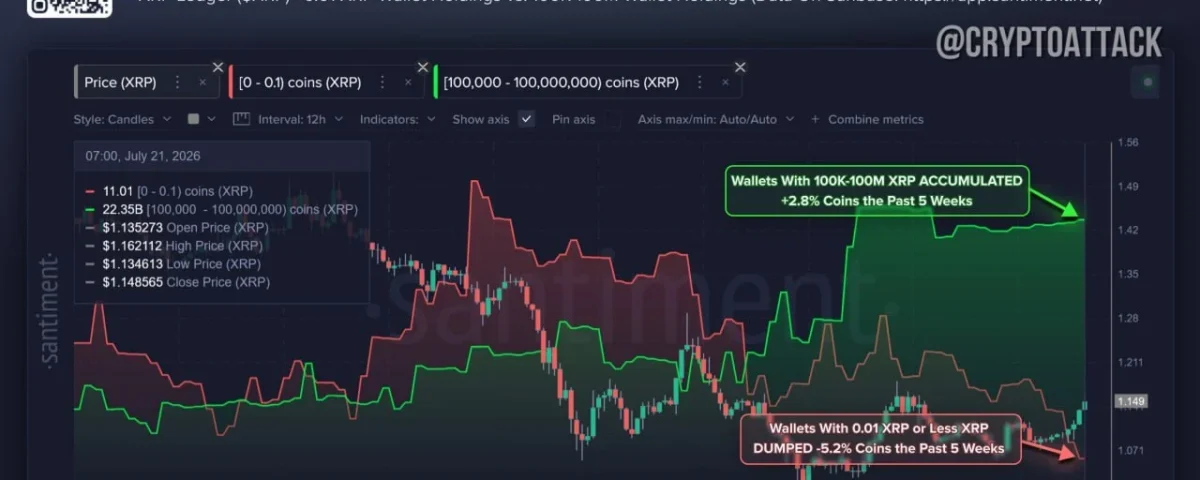 XRP Holdings Surge: Implications for Market Dynamics and Investor Sentiment