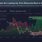 XRP Holdings Surge: Implications for Market Dynamics and Investor Sentiment