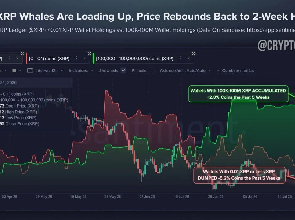 XRP Holdings Surge: Implications for Market Dynamics and Investor Sentiment