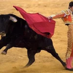 Spain Secures Spot in 2026 World Cup: Implications for National Pride and Economic Opportunities