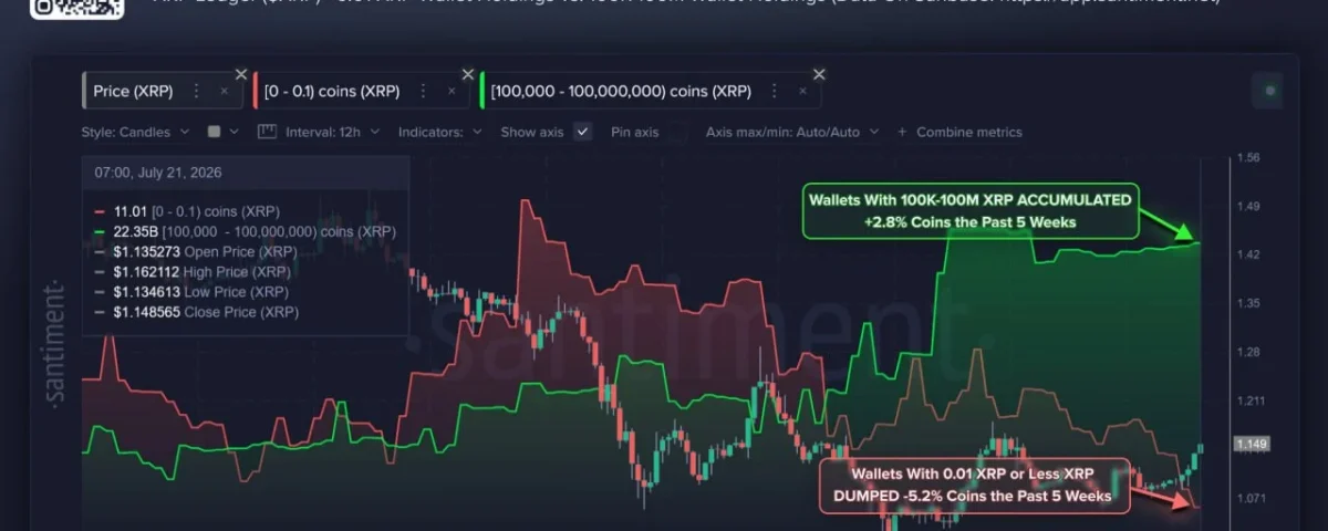 XRP Whale Activity Surges: What This Means for Investors