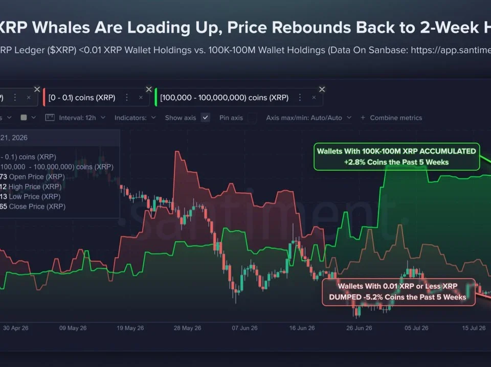 XRP Whale Activity Surges: What This Means for Investors