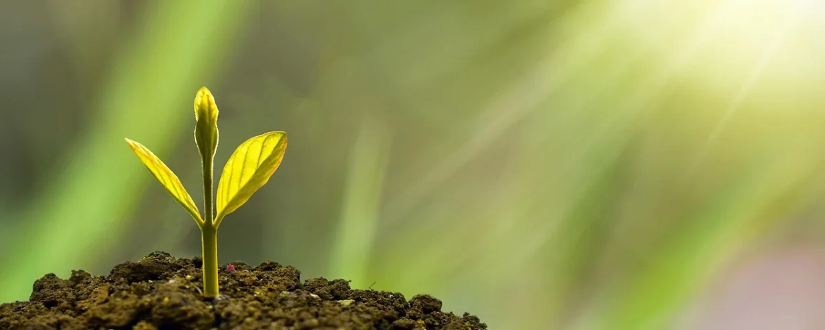 Financial growth digital assets