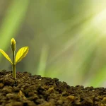 Financial growth digital assets