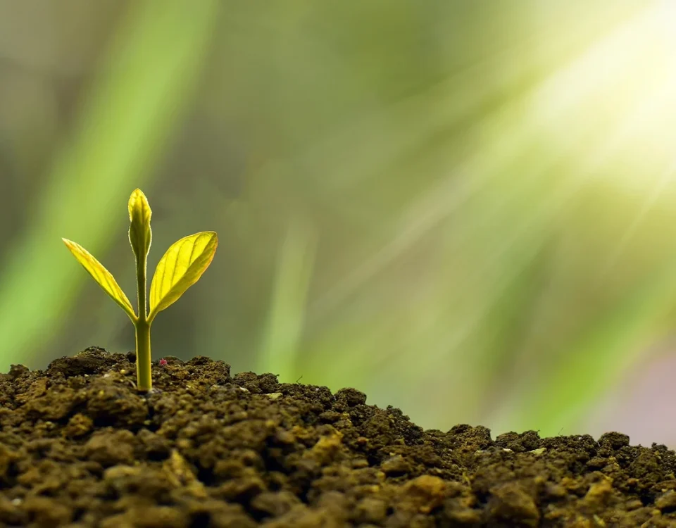 Financial growth digital assets