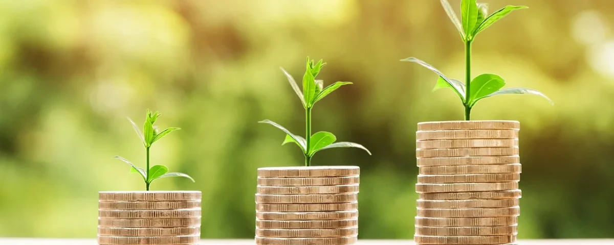 Digital currency investment growth